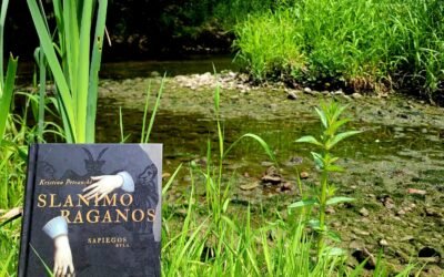 20250531_131933 20250531_131933