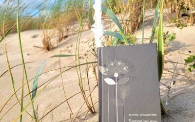 20250807_185332 20250807_185332