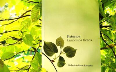 20250901_191126 20250901_191126