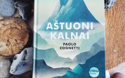 AirBrush_20260221134857